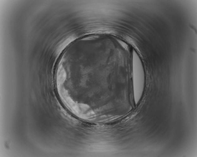 X0000099411087200805231558