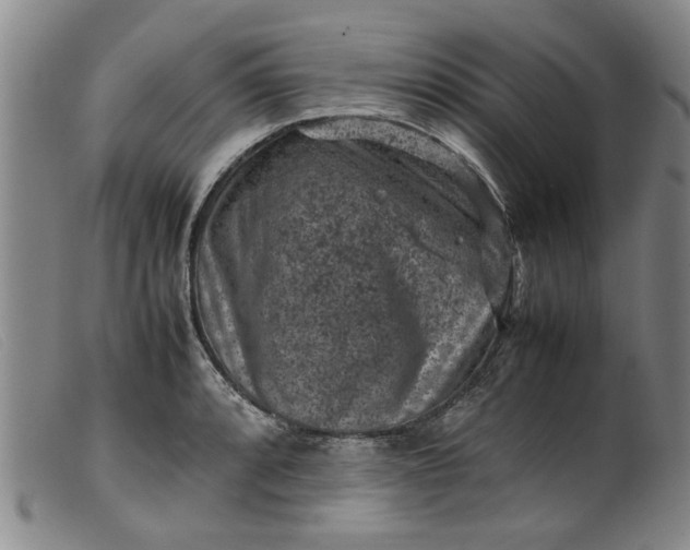 X0000099411088200805231558