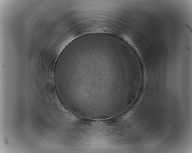 X0000099411089200805231558