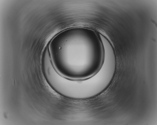 X0000099411091200805231558