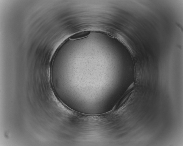 X0000099411092200805231558