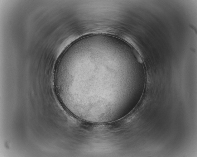 X0000099411093200805231558