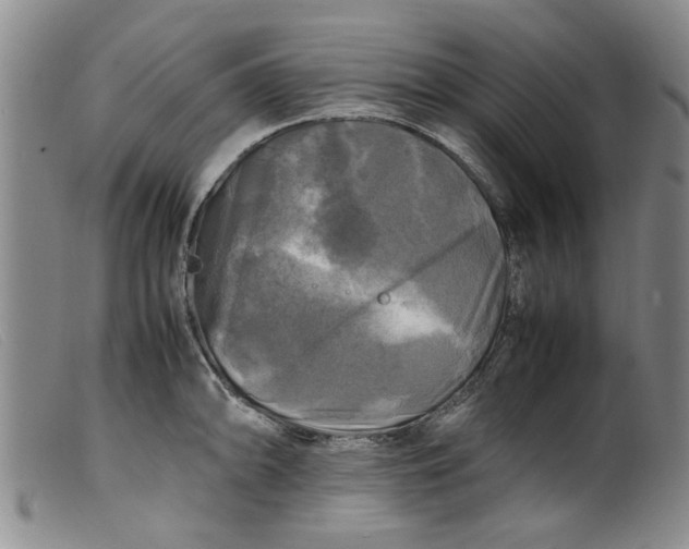 X0000099411094200805231558