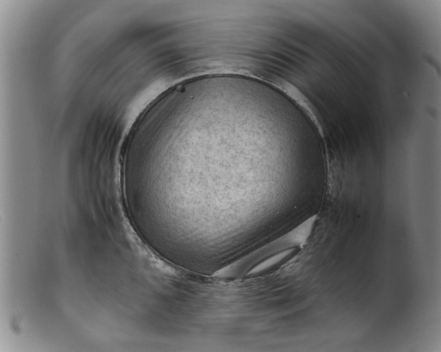 X0000099411096200805231558