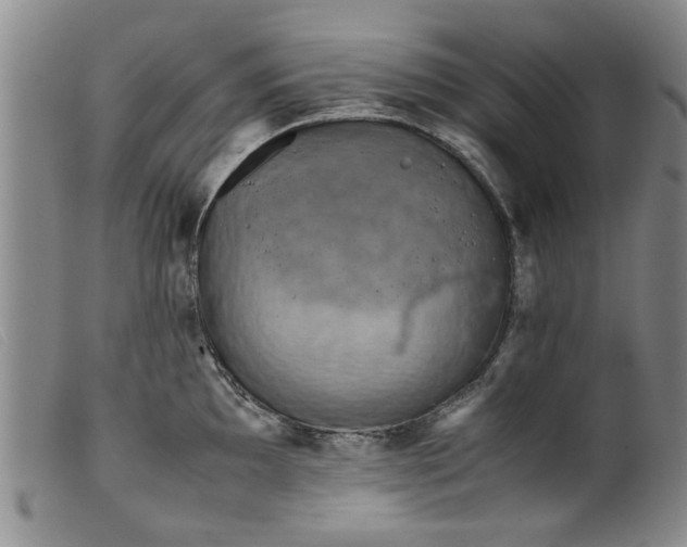 X0000099411097200805231558