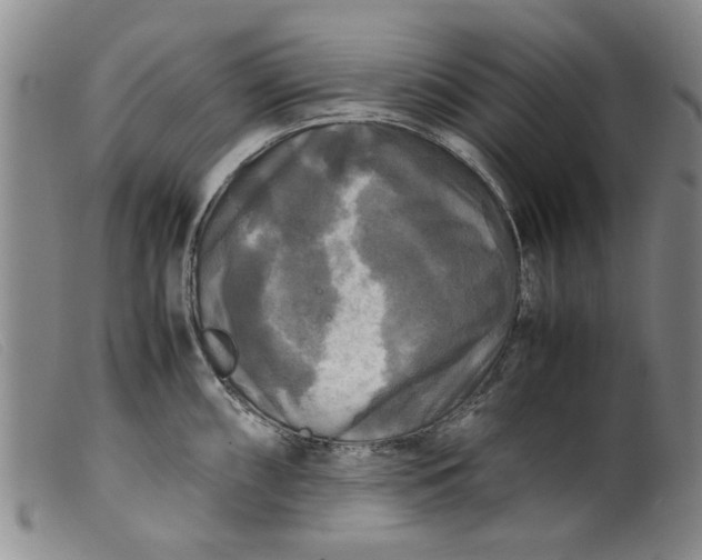 X0000099411098200805231558