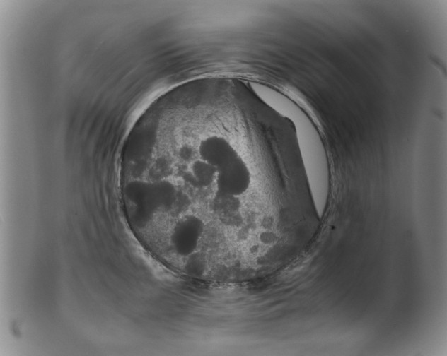 X0000099411099200805231558