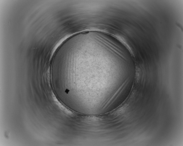 X0000099411100200805231558