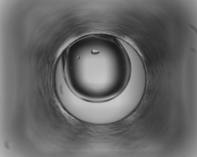 X0000099411101200805231558