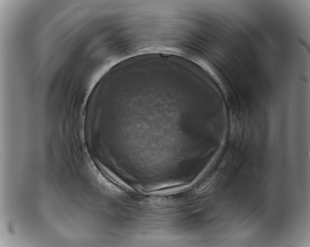 X0000099411102200805231558