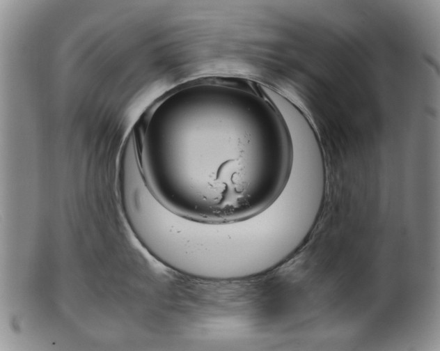 X0000099411103200805231558