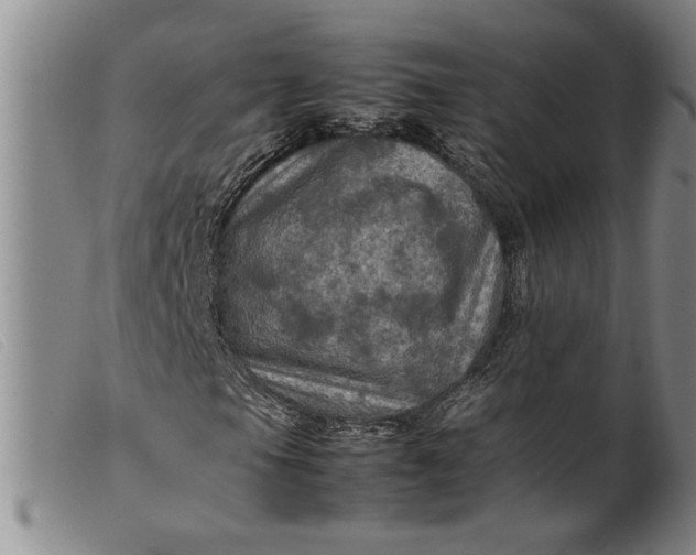 X0000099411105200805231557