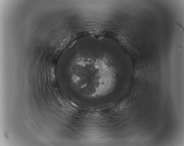 X0000099411106200805231557