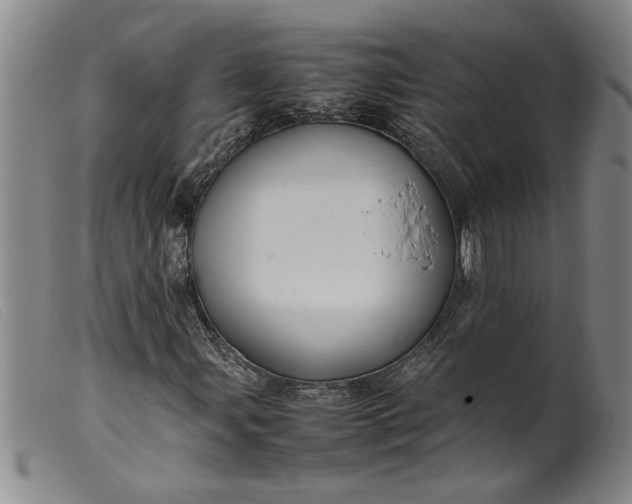 X0000099411107200805231557