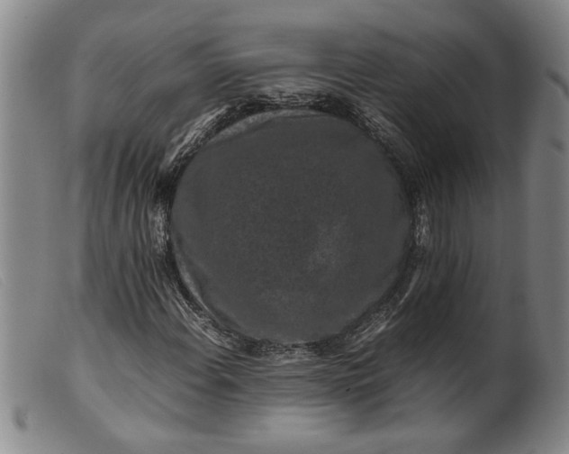 X0000099411108200805231557