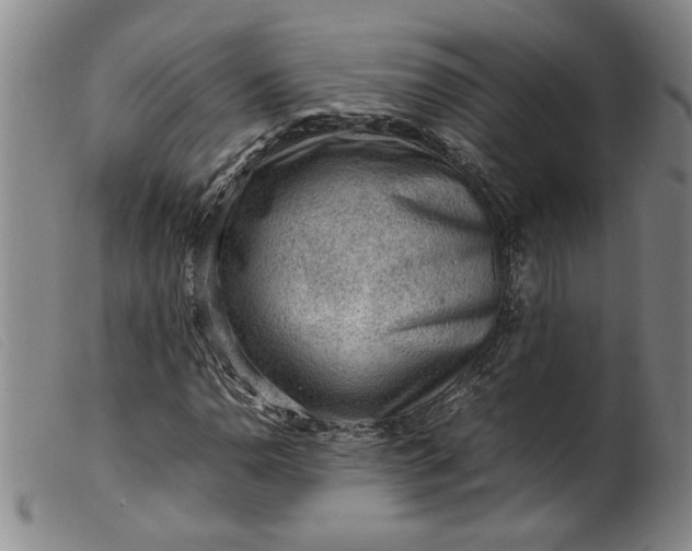 X0000099411110200805231557