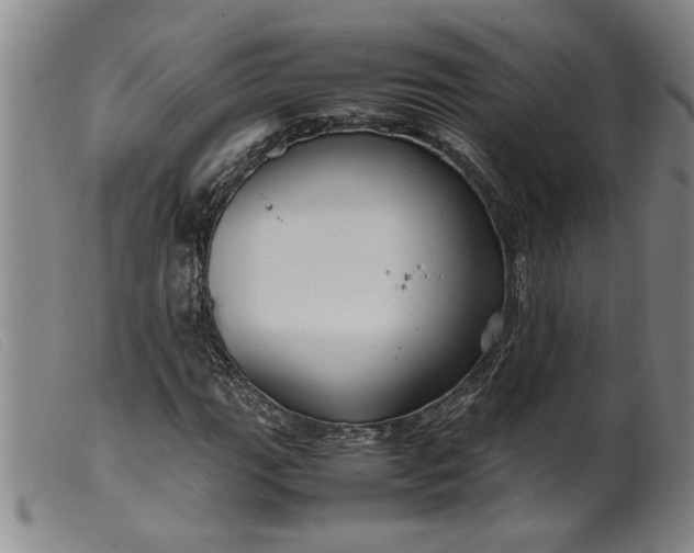 X0000099411111200805231557