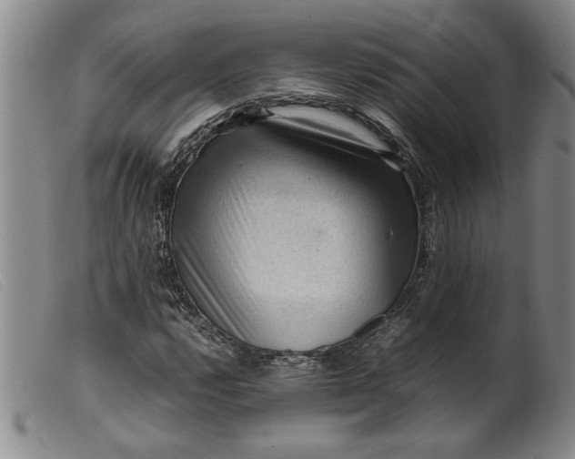 X0000099411112200805231557