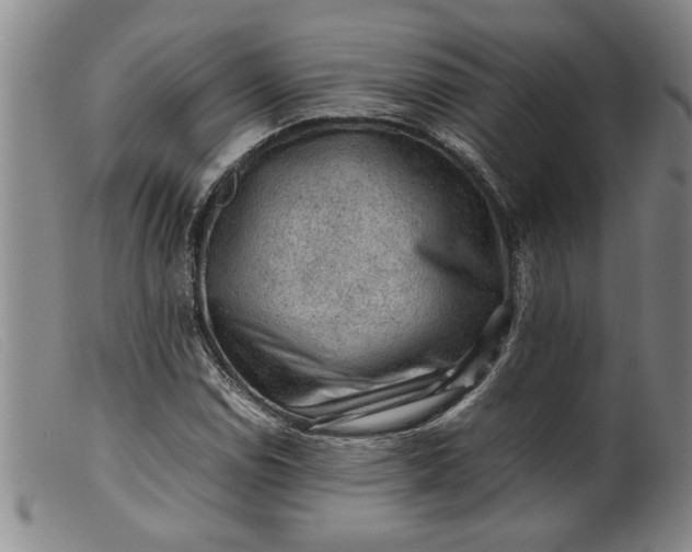 X0000099411114200805231557