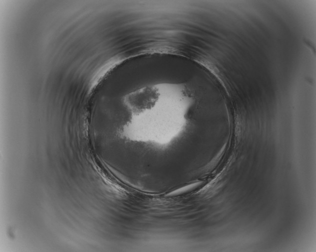 X0000099411115200805231557