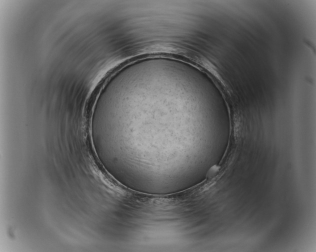 X0000099411116200805231557