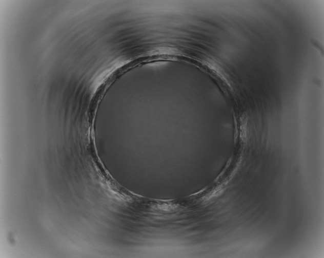 X0000099411117200805231557