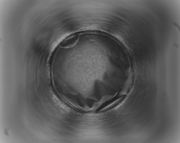 X0000099411118200805231557