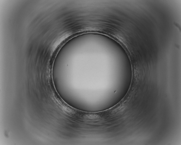 X0000099411119200805231557