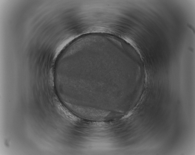 X0000099411120200805231557