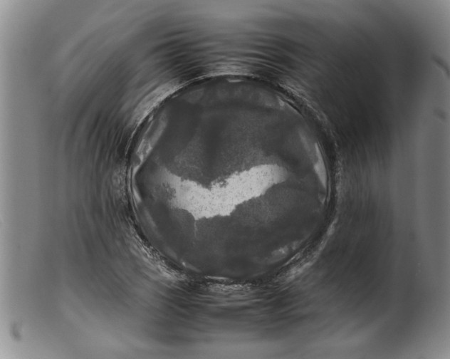 X0000099411121200805231557