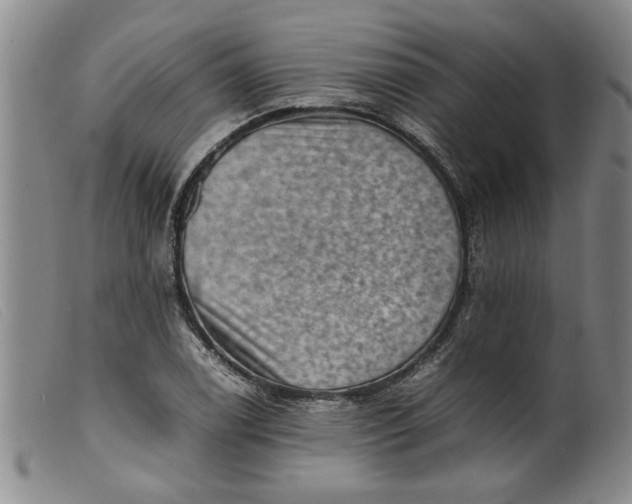 X0000099411122200805231557