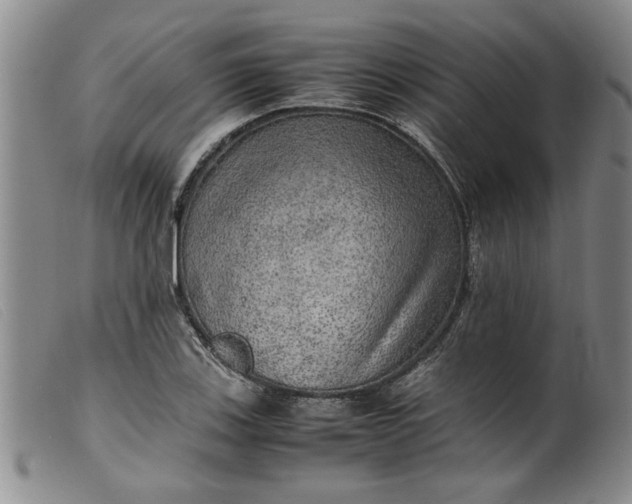 X0000099411123200805231557