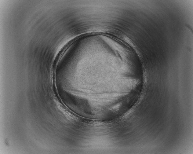 X0000099411124200805231557