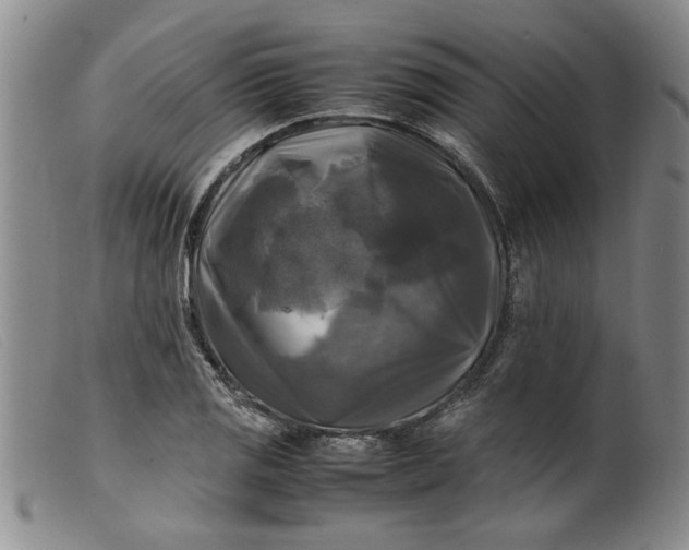 X0000099411125200805231557