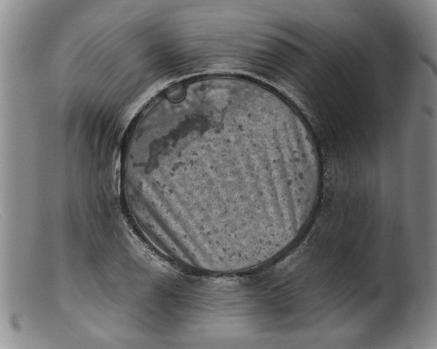 X0000099411126200805231557