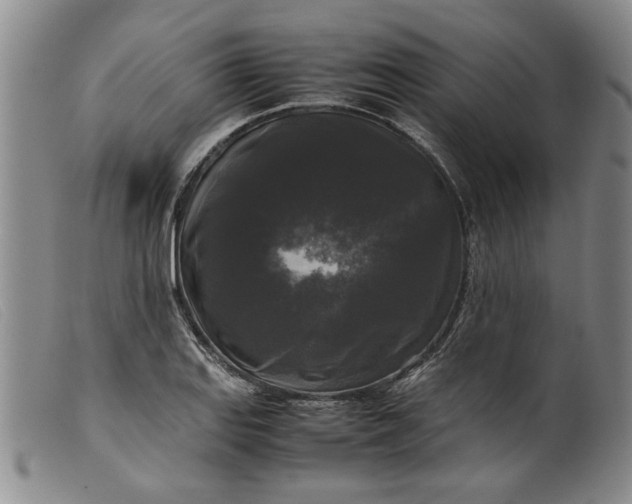 X0000099411127200805231557