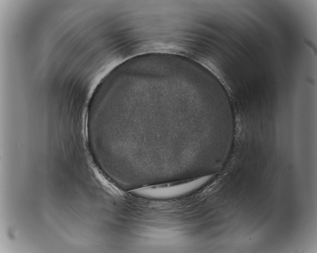 X0000099411128200805231557