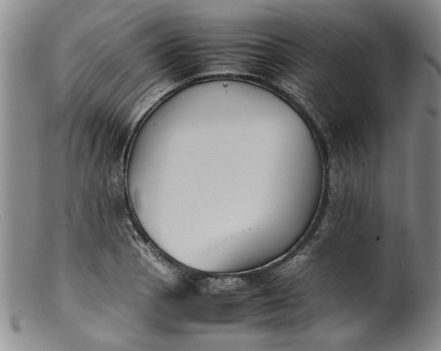 X0000099411129200805231557