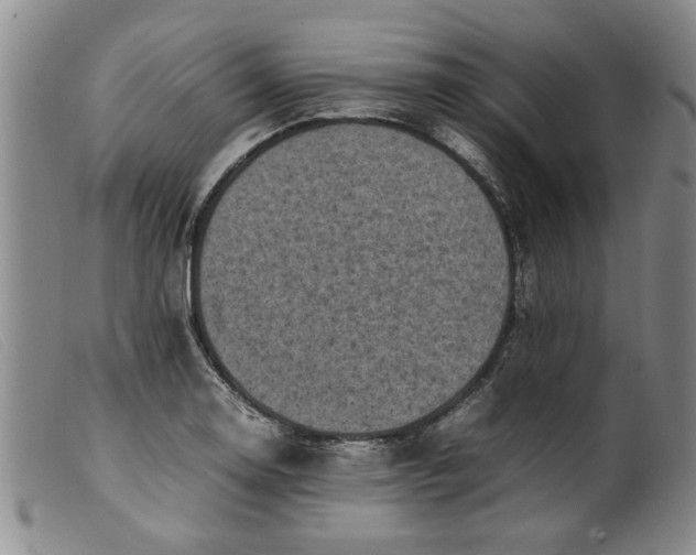 X0000099411130200805231557