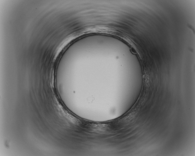 X0000099411131200805231557