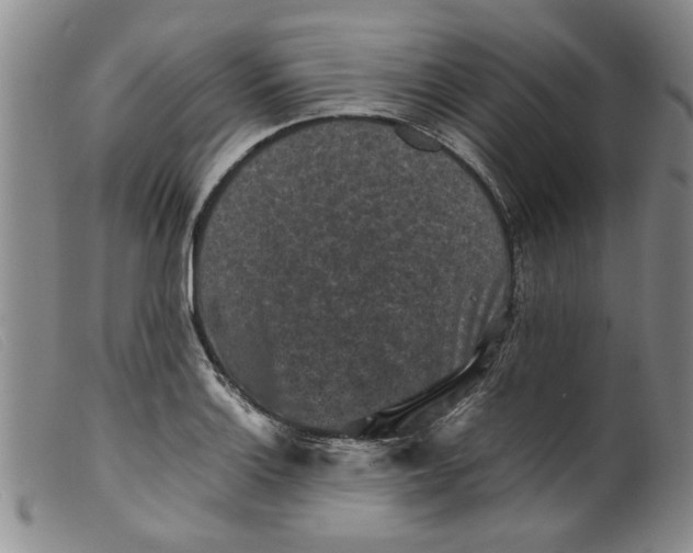 X0000099411132200805231557