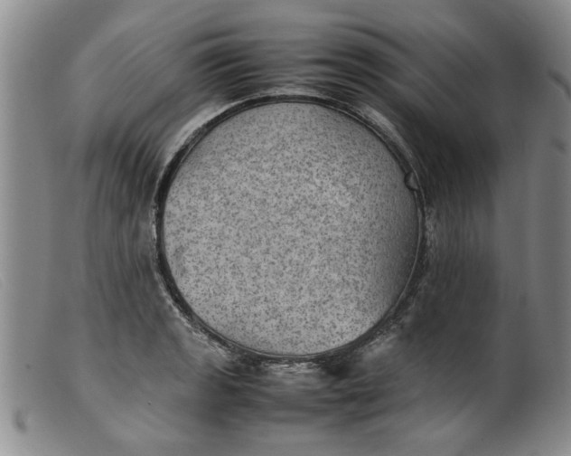 X0000099411133200805231558