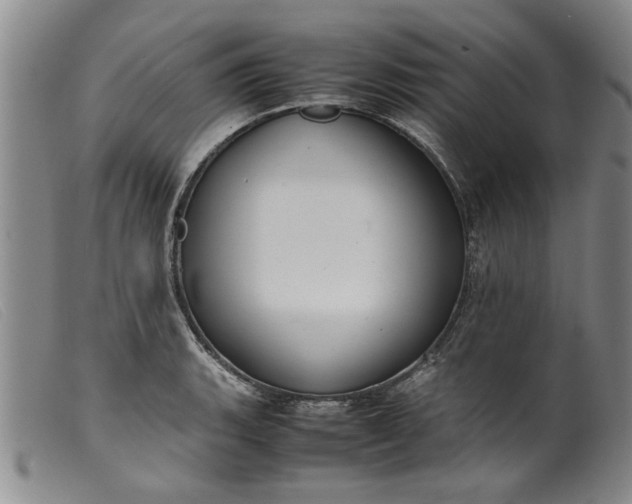 X0000099411135200805231558