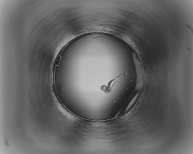 X0000099411136200805231558