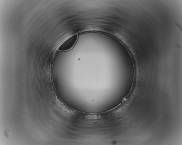 X0000099411137200805231558