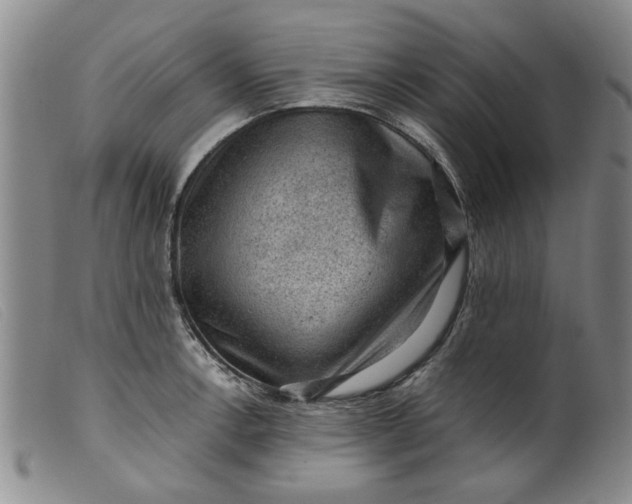 X0000099411138200805231558