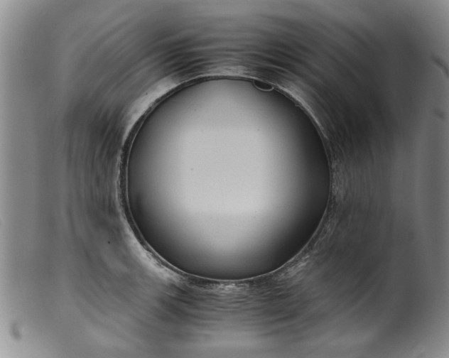 X0000099411139200805231558