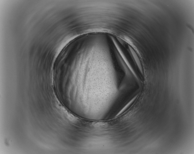 X0000099411140200805231558