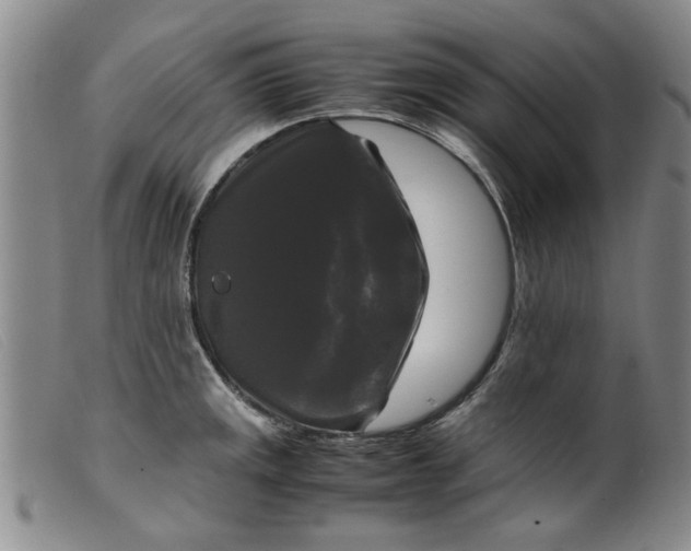 X0000099411141200805231558