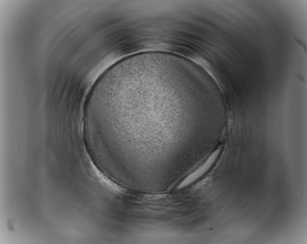 X0000099411143200805231558